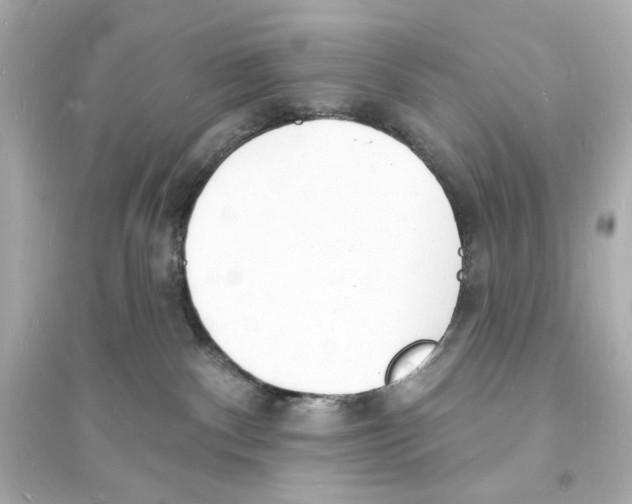 X0000093600140200711121157