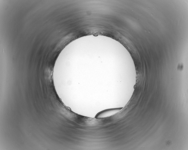 X0000093600142200711121157