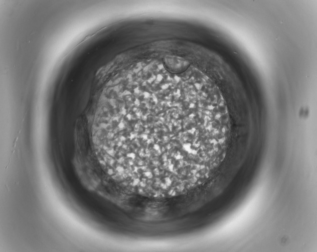 X0000093600143200711121157