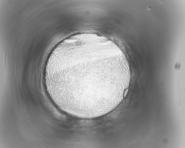 X0000093600145200711121156