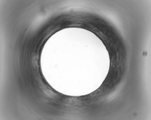 X0000093600146200711121156