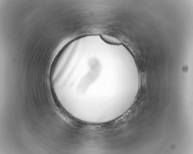 X0000093600147200711121156