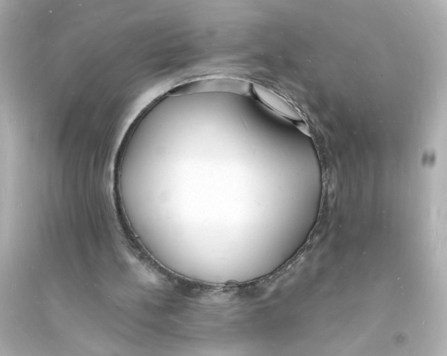 X0000093600148200711121156