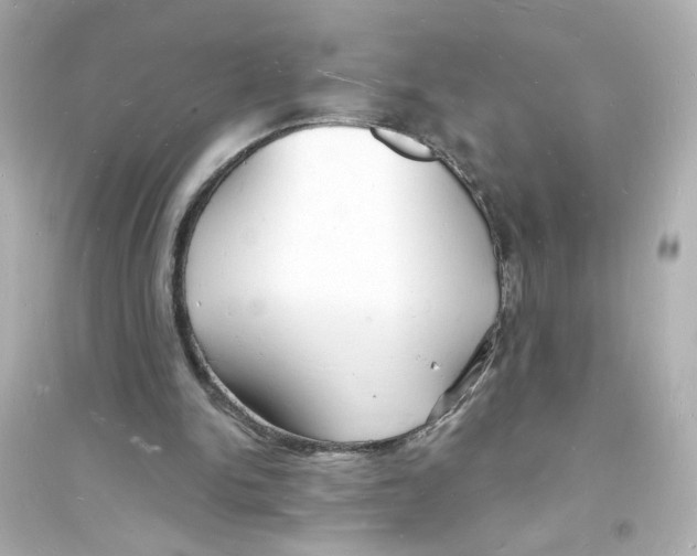 X0000093600150200711121156