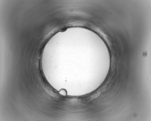 X0000093600153200711121156