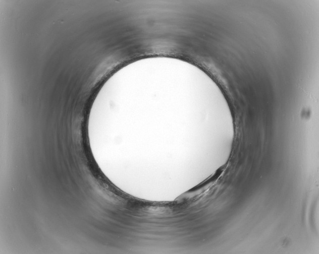 X0000093600154200711121156