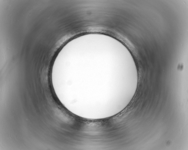 X0000093600155200711121156