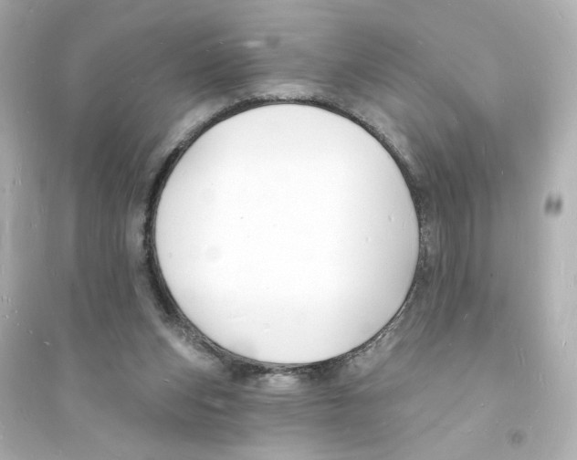 X0000093600159200711121157