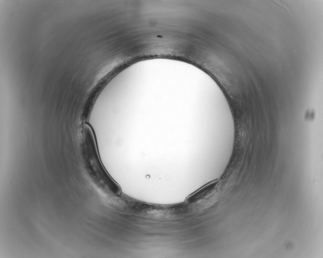 X0000093600160200711121157