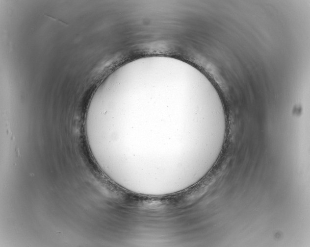 X0000093600161200711121157