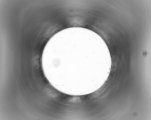 X0000093600162200711121157