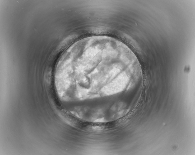 X0000093600163200711121157