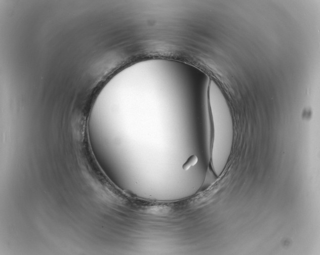 X0000093600168200711121157