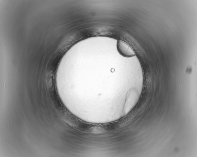 X0000093600169200711121157