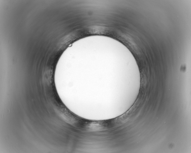 X0000093600171200711121157