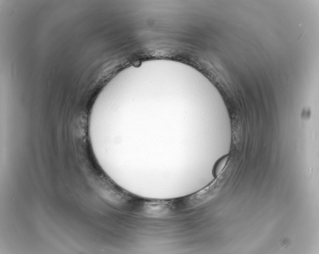 X0000093600175200711121157