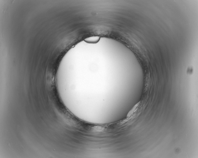 X0000093600176200711121157