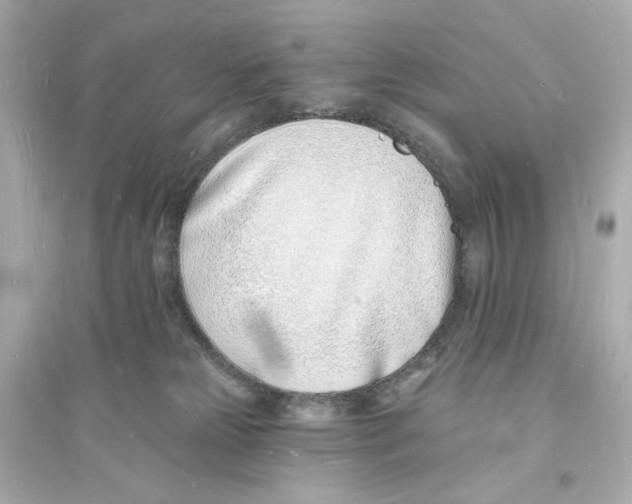 X0000093600181200711121157