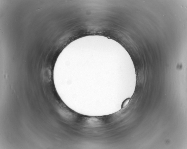 X0000093600183200711121157