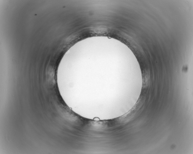 X0000093600187200711121157