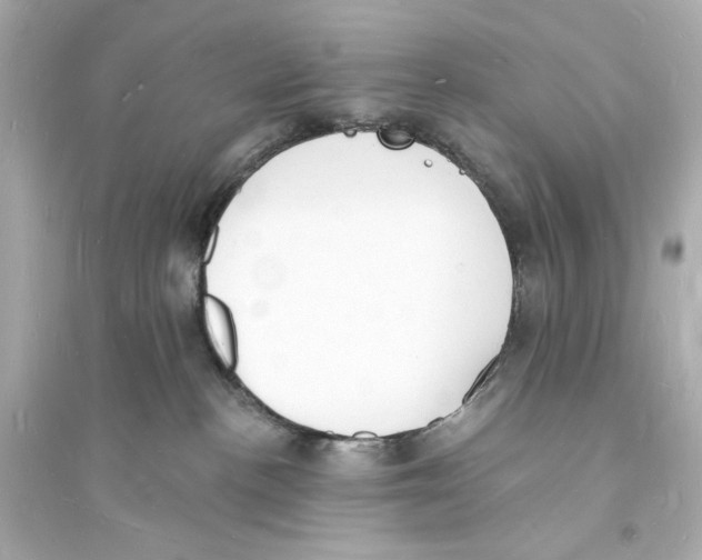 X0000093600188200711121157