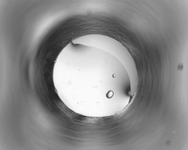 X0000093600190200711121157