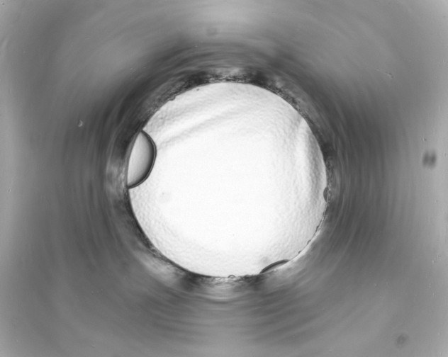 X0000093600191200711121157