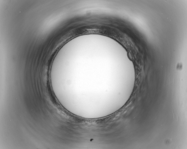 X0000093600194200711121156