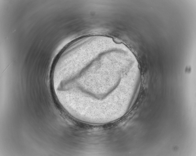 X0000093600196200711121156