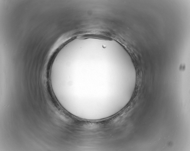 X0000093600198200711121156