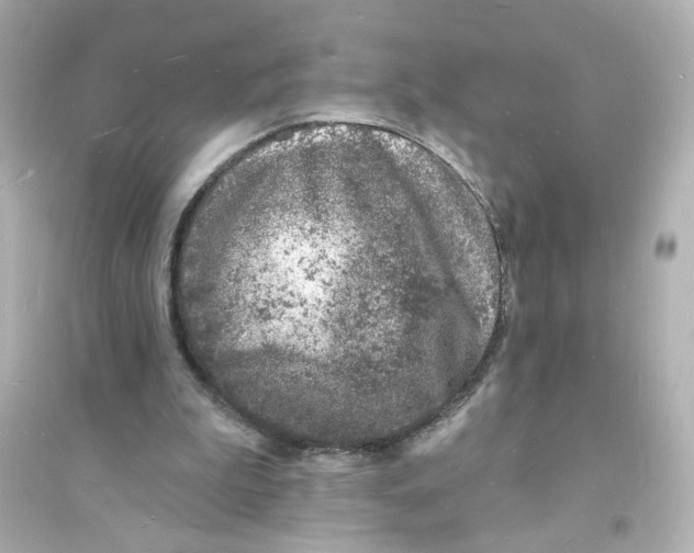 X0000093600199200711121156