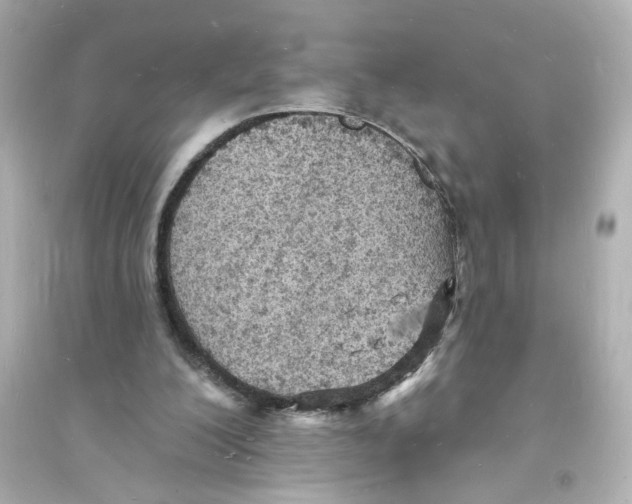 X0000093600200200711121156