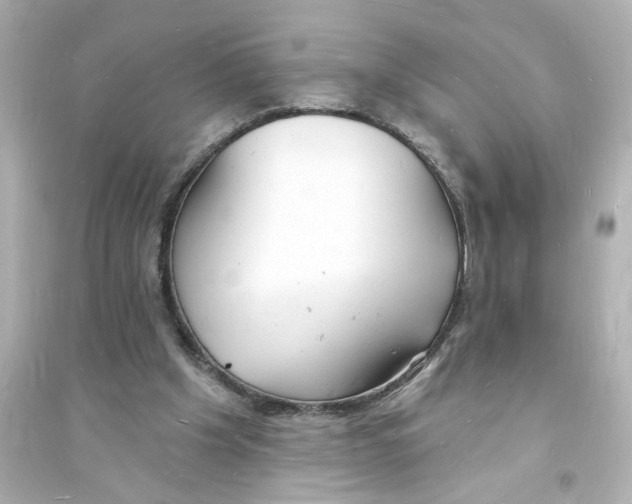 X0000093600201200711121156