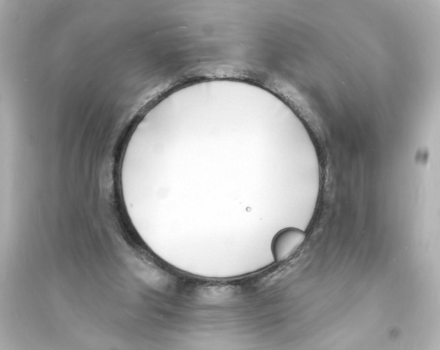 X0000093600202200711121156