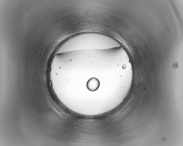 X0000093600203200711121156