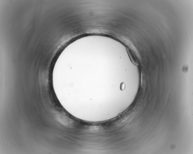 X0000093600204200711121156