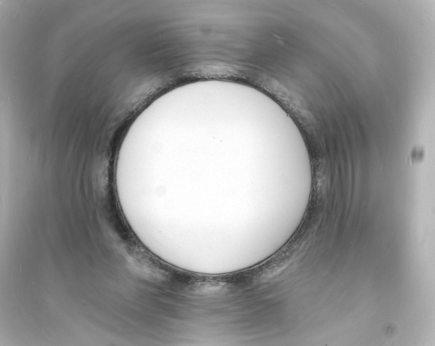 X0000093600206200711121156