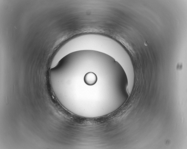 X0000093600207200711121156