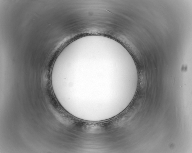 X0000093600208200711121156