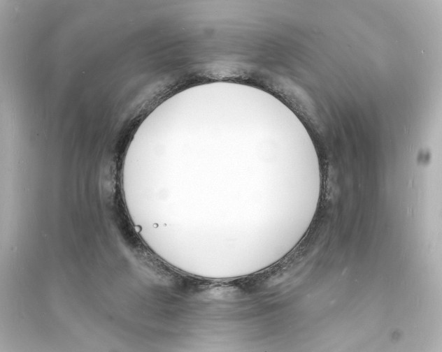 X0000093600210200711121156