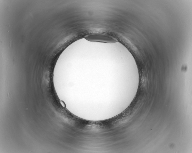 X0000093600211200711121156