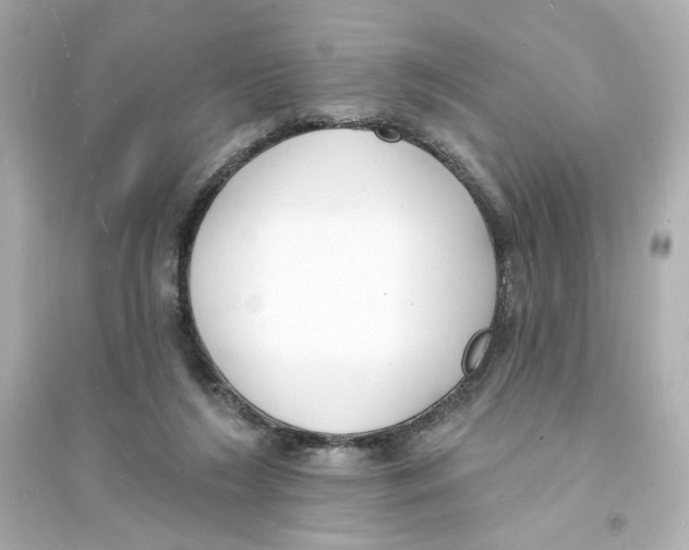 X0000093600212200711121156