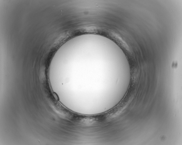 X0000093600213200711121156