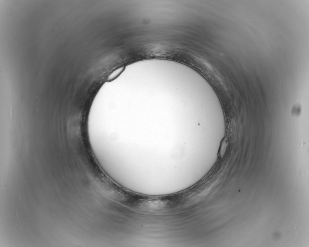 X0000093600217200711121156