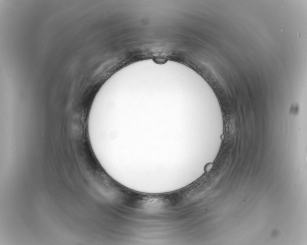 X0000093600218200711121156