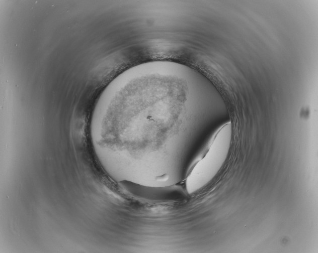 X0000093600219200711121156