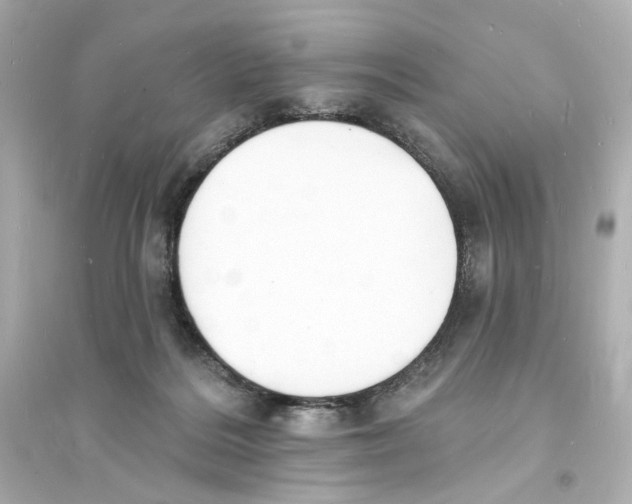 X0000093600220200711121156