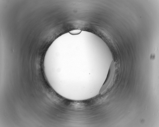 X0000093600221200711121156