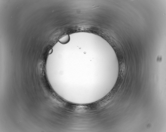 X0000093600222200711121156