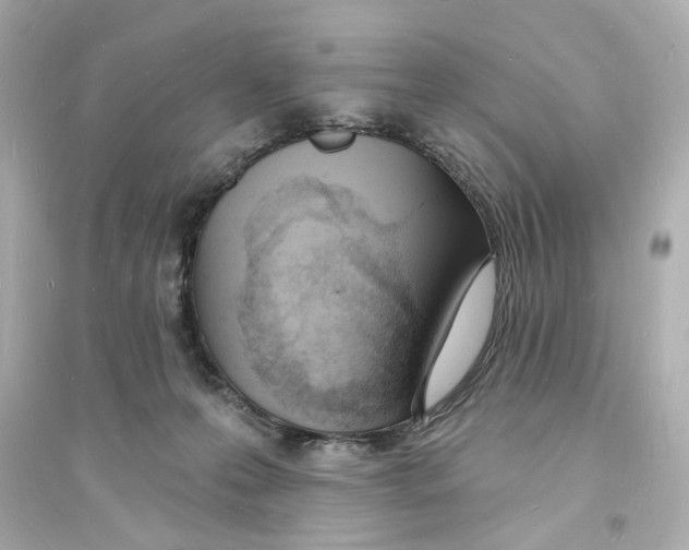 X0000093600223200711121156